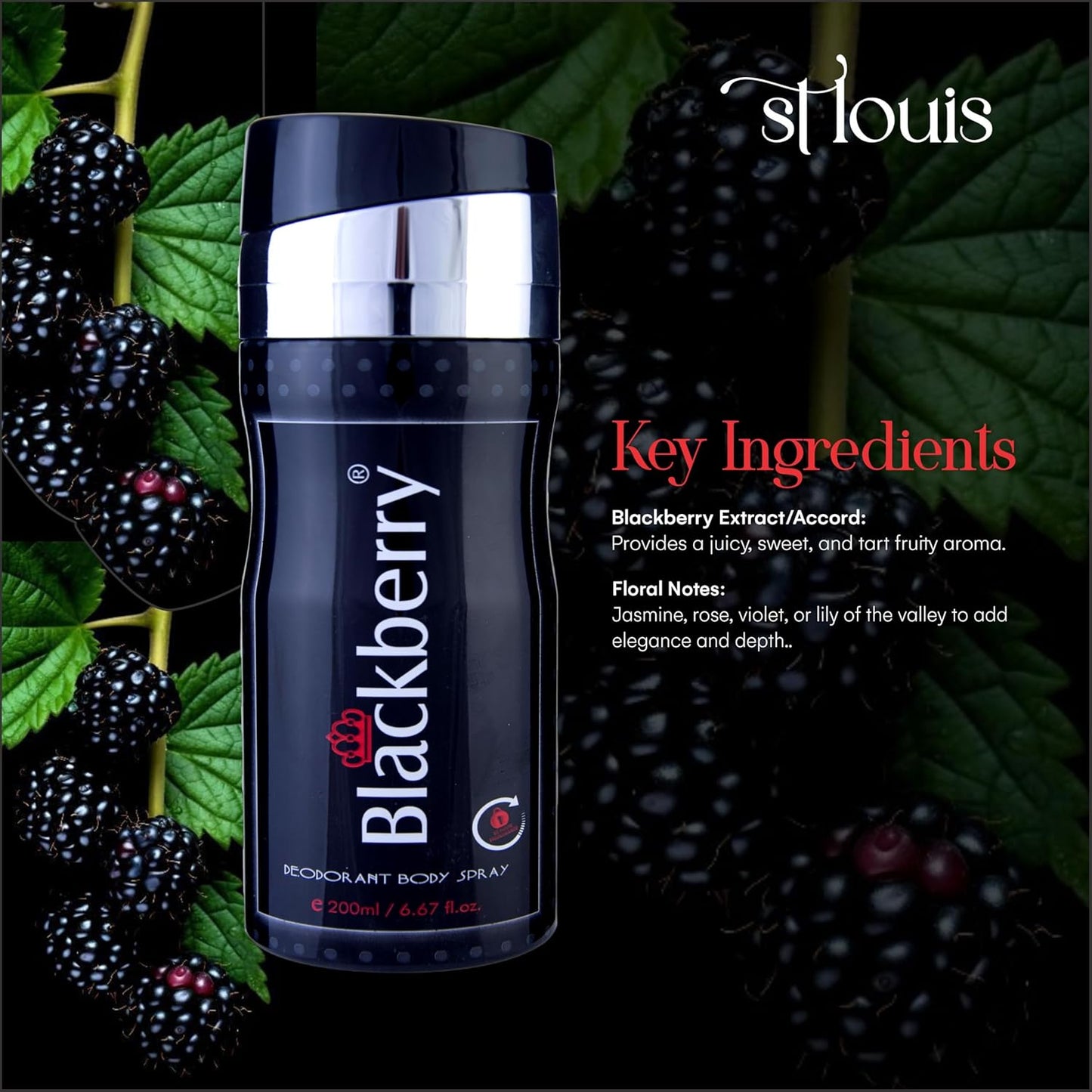 St Louis Blackberry Deodorant Body Spray For Men 200 ml Long-Lasting Fragrance | Deo as Ideal Gift for Birthdays, Anniversaries & Special Occasions |...